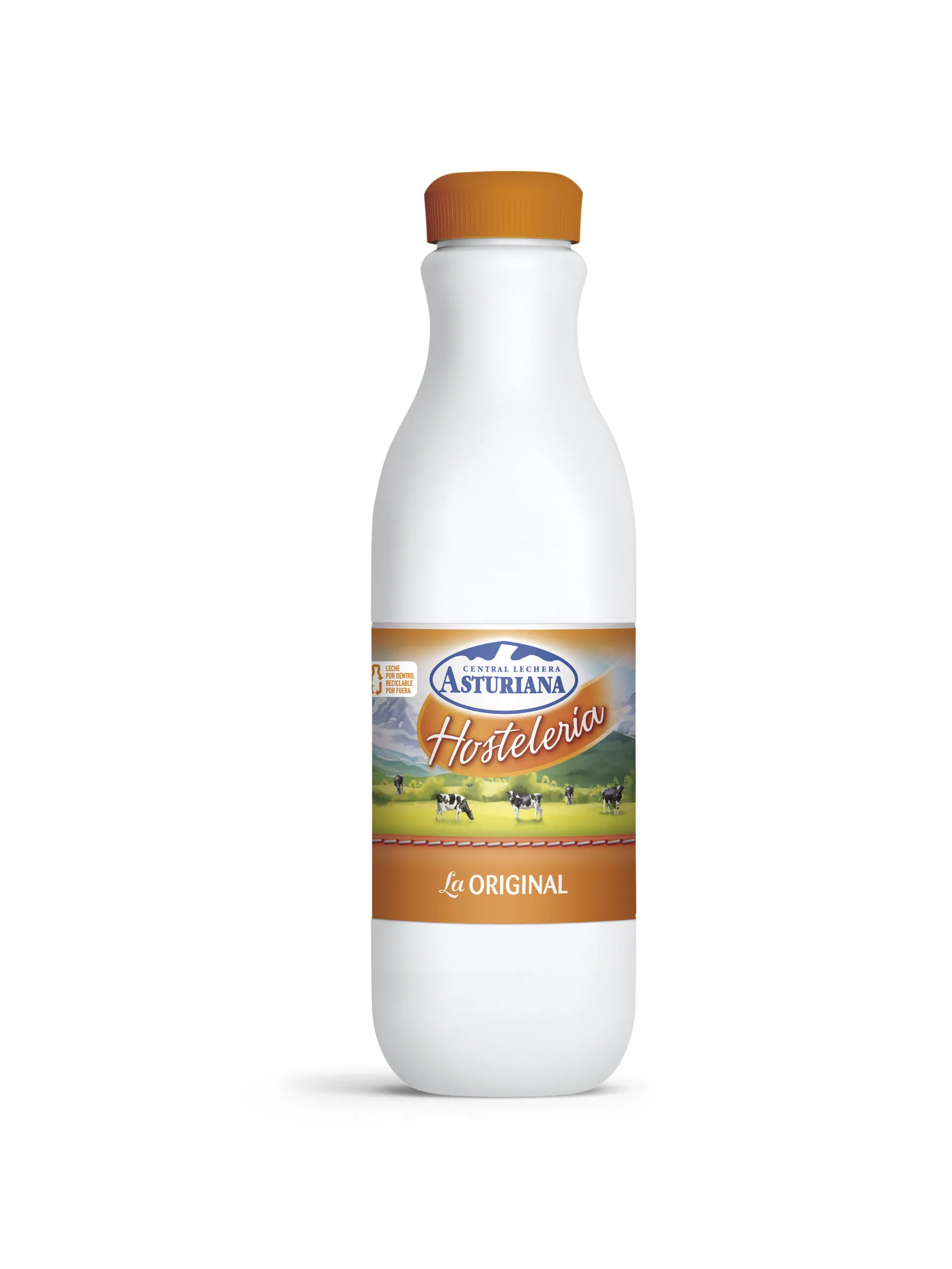 Asturiana Hosteleria Original 1 Pet 5 l