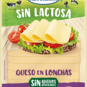 Queso Lonchas S/lactosa Asturi 120 g