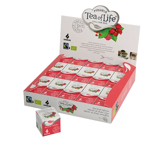 Candelas Frutos Rojos Cubo OF Life