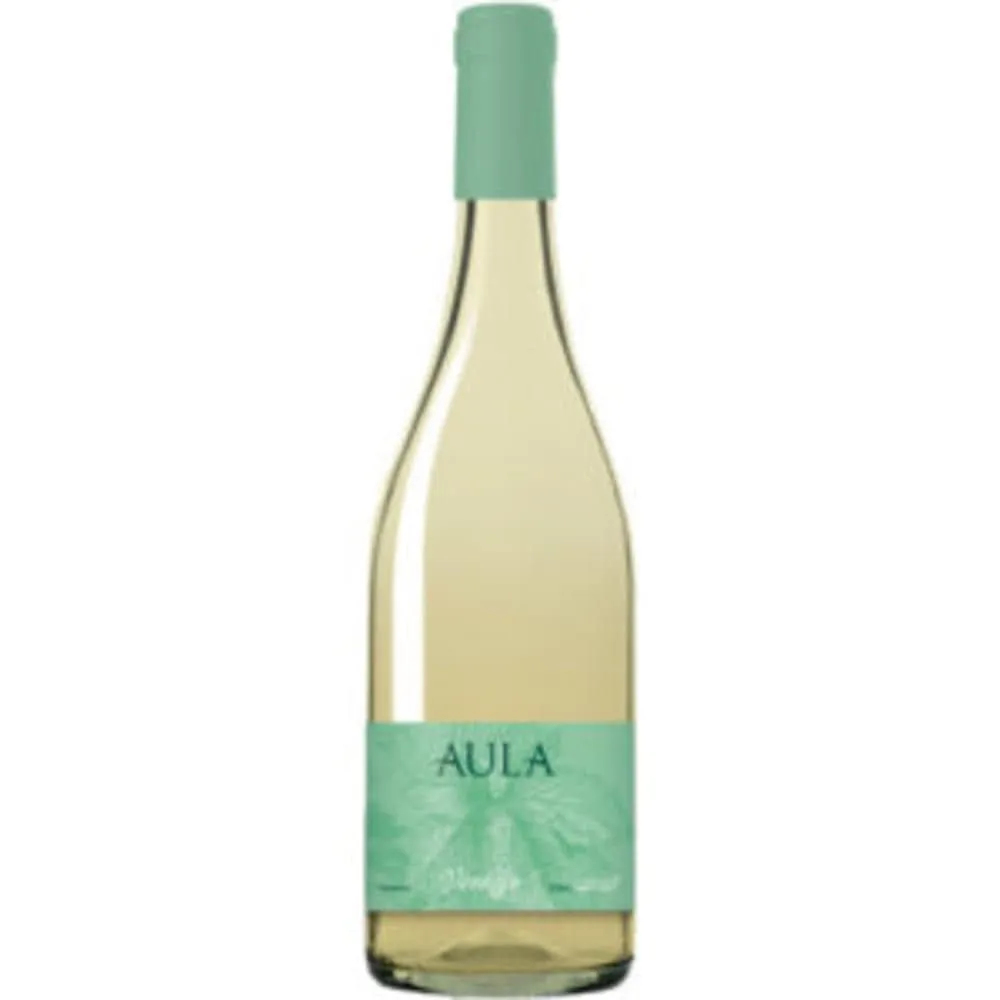 Vino Aula Blanco Verdejo 3/4 Utiel-reque