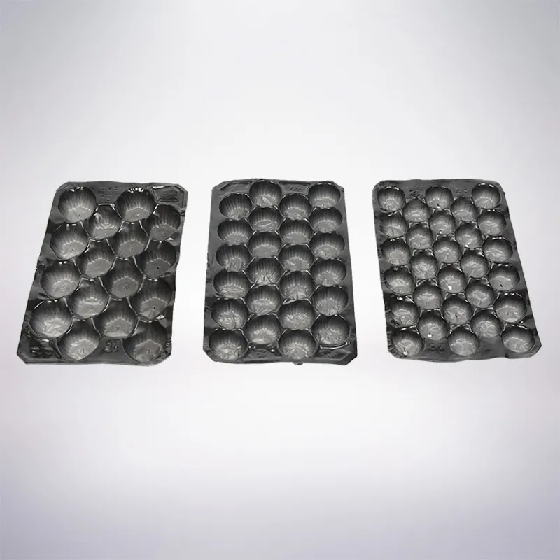 Alveolos 1000 Unidades