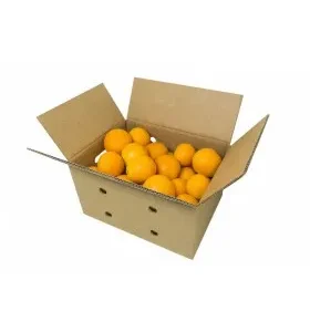 Caja Fruta 2 Kg Wake