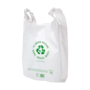 Bolsas de Papel Recicladas B Asa 40/60 200 1 kg x 70 g