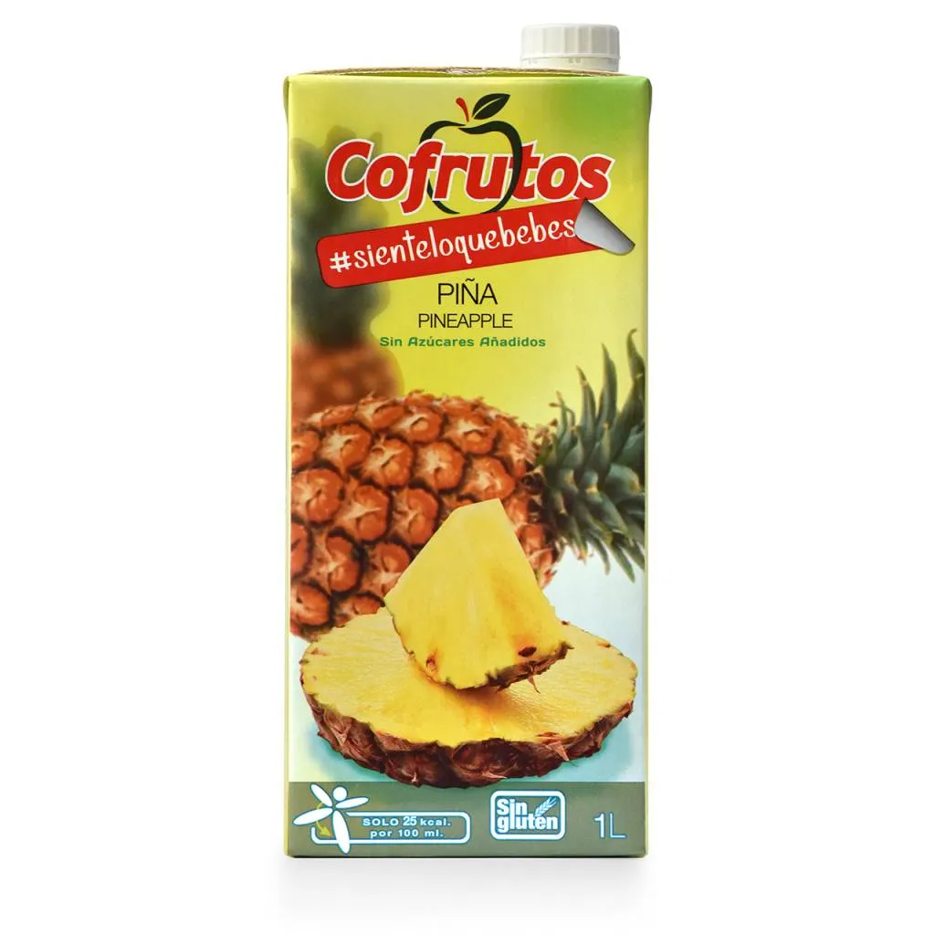 Cofrutos Zumo Piña en Brik 1L x12