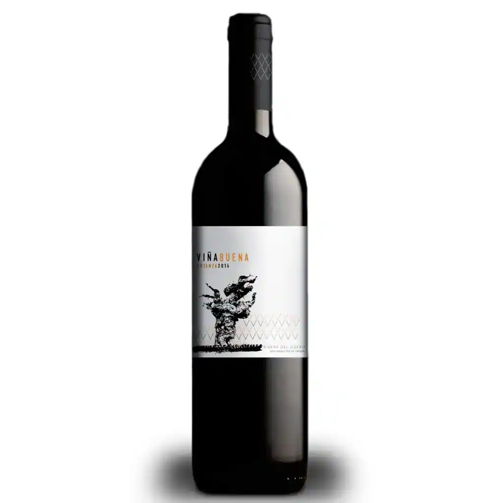 Vino Ribera del Duero Viña Buena Roble Tinto 3/4